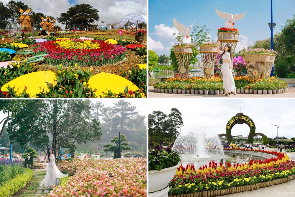 Vườn hoa Đà Lạt với hơn 300 loài đua nhau khoe sắc 